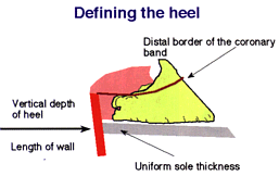 Defining the heel