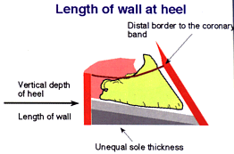 Defining heel