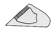 Image not available.