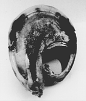 Image not available.