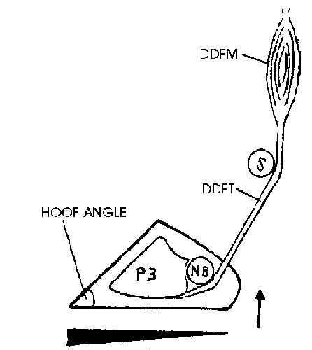 Image not available.