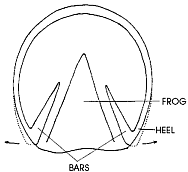 Image not available.